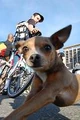 DSC 0041.jpg