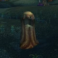 Hollowed Out Tree.jpg