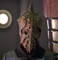 Fennim.jpg