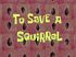 To Save a Squirrel.jpg