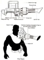 PLX-2M egwt.png