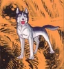 Ginmanga006