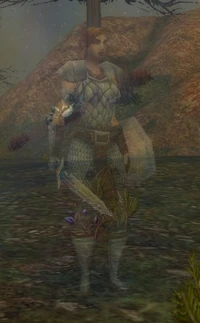 Darrowshire Poltergeist