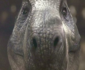 Gerald