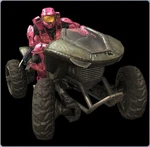 1209951486 Mongoose