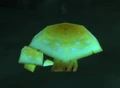 Death Cap.jpg