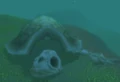 Skeletal Sea Turtle.jpg