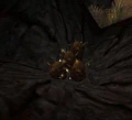 Egg of Onyxia.jpg
