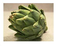 Artichoke