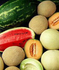Melons