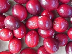 Cranberry