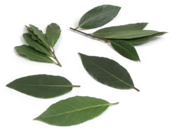 Bay Leaves