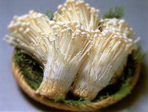 Enoki.jpg