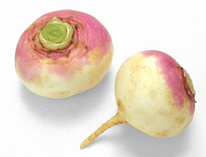 Turnip