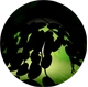 Simpd.png