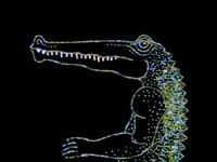 Crocodile2.IshuPatel