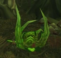 Cleansed Whipper Root.jpg