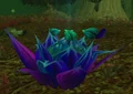 Corrupted Windblossom.jpg