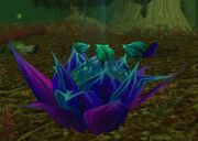 Corrupted Windblossom
