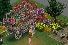 Mara Faerie