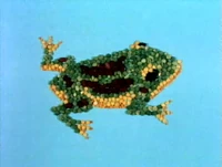 Frogseeds.jpg