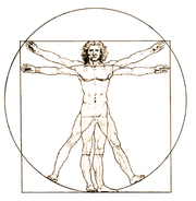 Anatomical man