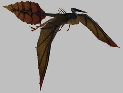 JKJO glider.png
