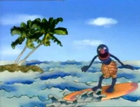 Grover-surf-nearfar.jpg
