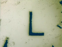 SandL.jpg