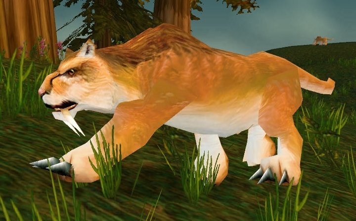 File:Mountain Lion.jpg
