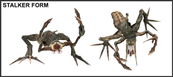 Stalkerform