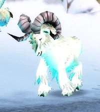 Image of Alterac Ram