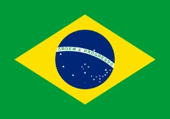 Flag of Brazil.svg.png