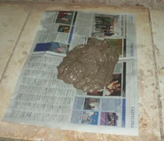 Paperclay003