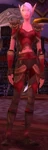 Falcon Watch Ranger