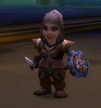 Image of Holdout Warrior