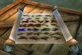 Bloodsail Orders.jpg