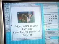 Computer.lostdog.jpg