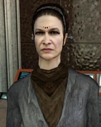Terena adare