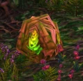 Timberling Sprout.jpg