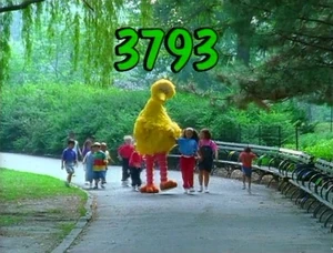 3793.jpg