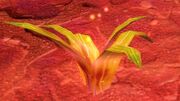 Hellfire Spineleaf