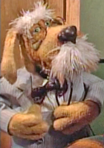 Doctor-dogcity