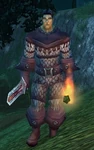 Watcher Wollpert