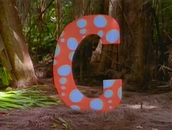JungleC
