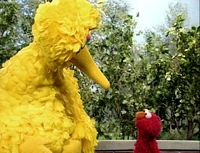 ElmoBigBird.sad