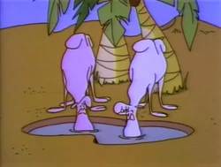 Toon.camels