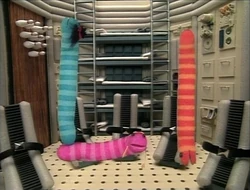 Wormsinspace.L