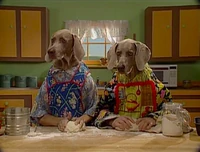 Dogs.bread