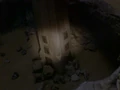 Sisko und Yates finden Bhala.jpg